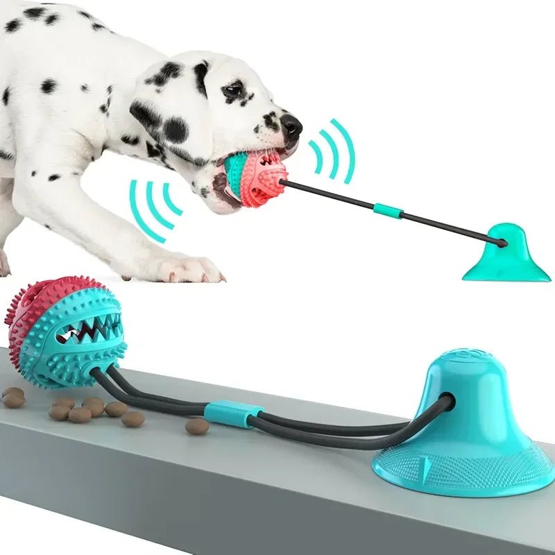 Interactieve Hondenbal met Zuignap & Touw - Duke & Scoop