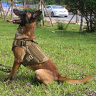 K9 Harnas – Tactisch Hondentuig voor Honden - Duke & Scoop