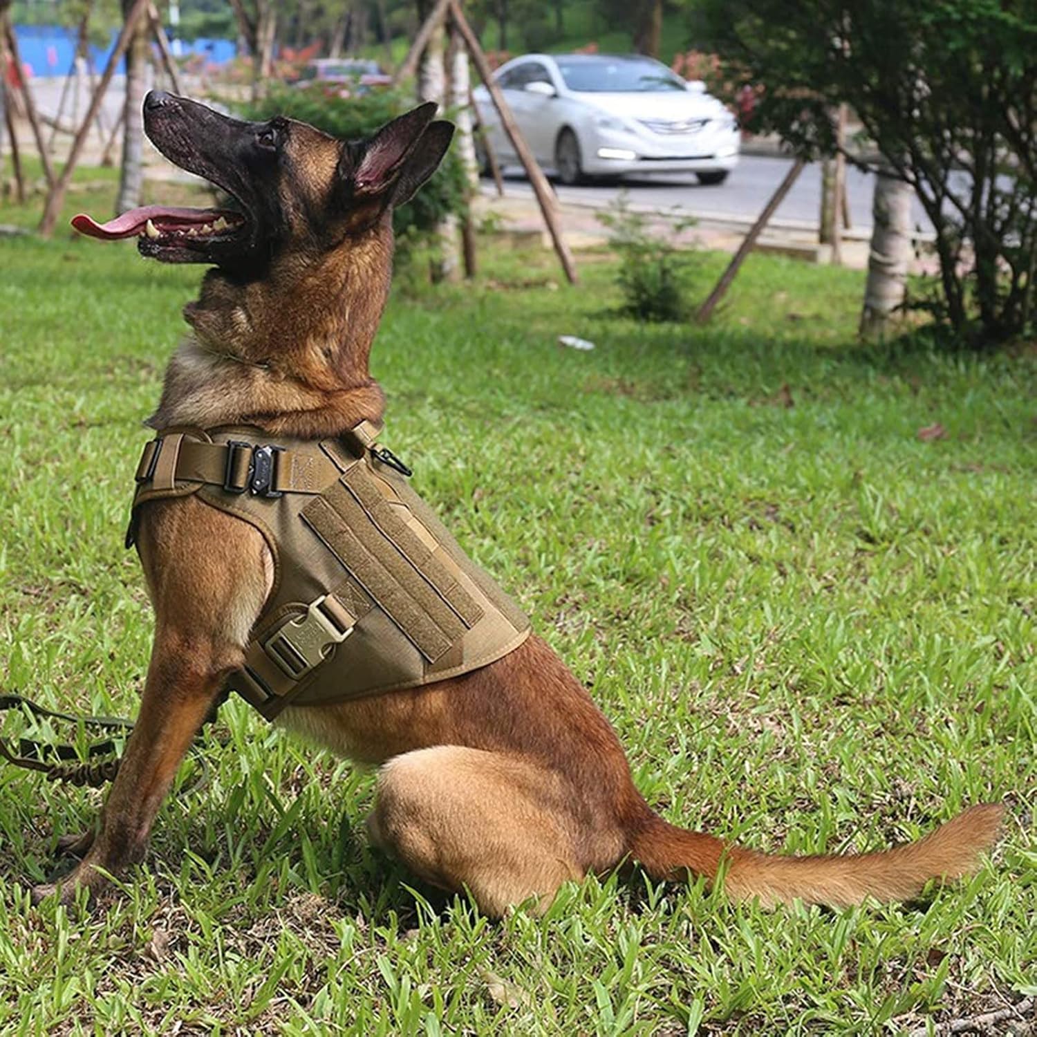 K9 Harnas – Tactisch Hondentuig voor Honden - Duke & Scoop