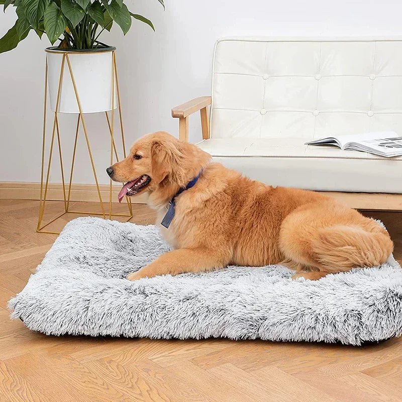 Kalmerend Pluche Huisdierbed – Voor Kat & Hond - Duke & Scoop