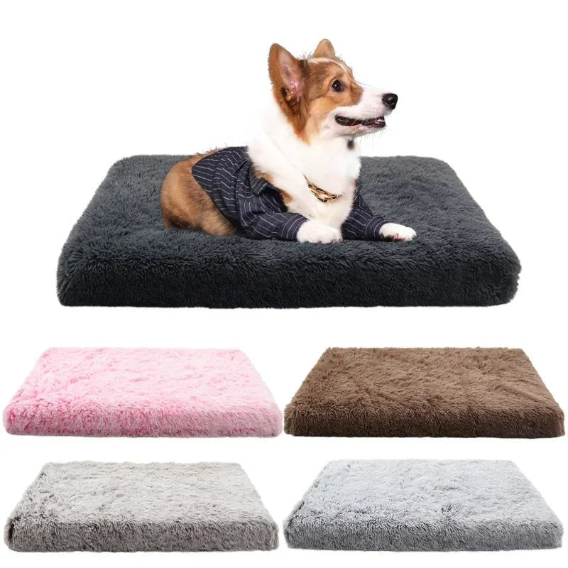 Kalmerend Pluche Huisdierbed – Voor Kat & Hond - Duke & Scoop