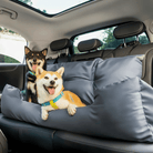 Katoenen Autostoelhoes voor Honden en Katten - Duke & Scoop