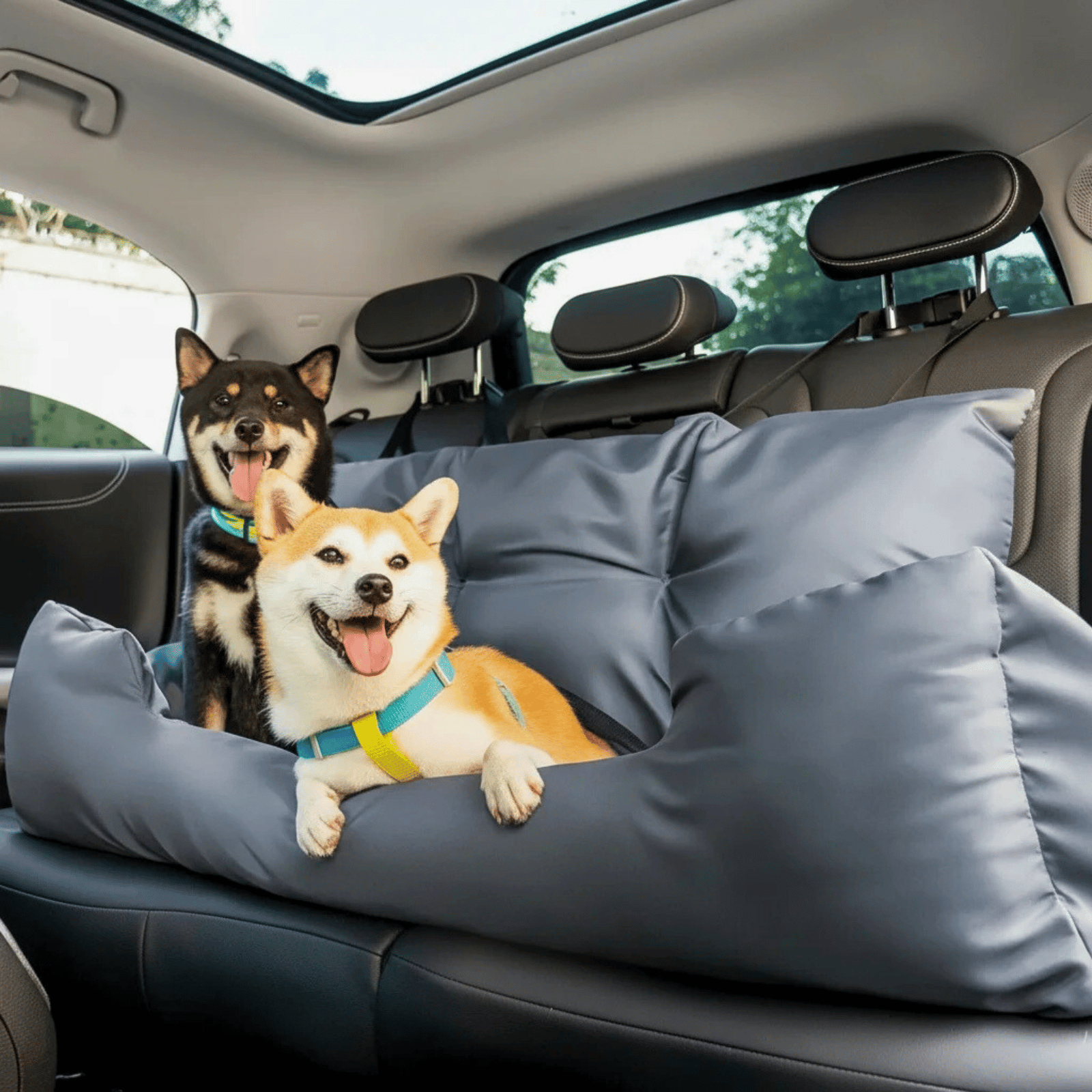 Katoenen Autostoelhoes voor Honden en Katten - Duke & Scoop