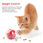 Katten Snackbal – Slow Feeder Speelbal - Duke & Scoop