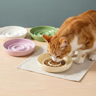Keramische Slow Feeder Voerbak Kat & Hond - Duke & Scoop