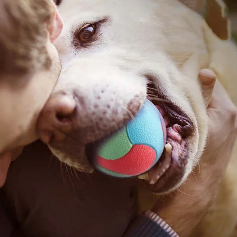 Kleurrijke Bijtbestendige Bal - Duke & Scoop