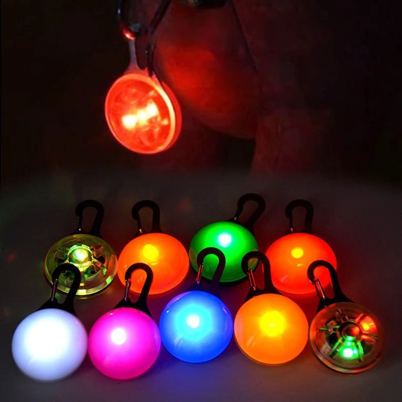 LED Licht Halsband Hanger – Veiligheidslampje - Duke & Scoop