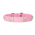 Leren Hondenhalsband met Botdecoratie - Duke & Scoop