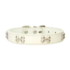 Leren Hondenhalsband met Botdecoratie - Duke & Scoop