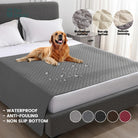Matrasbeschermer & Huisdierdeken – Zacht, Antislip en Wasbaar - Duke & Scoop