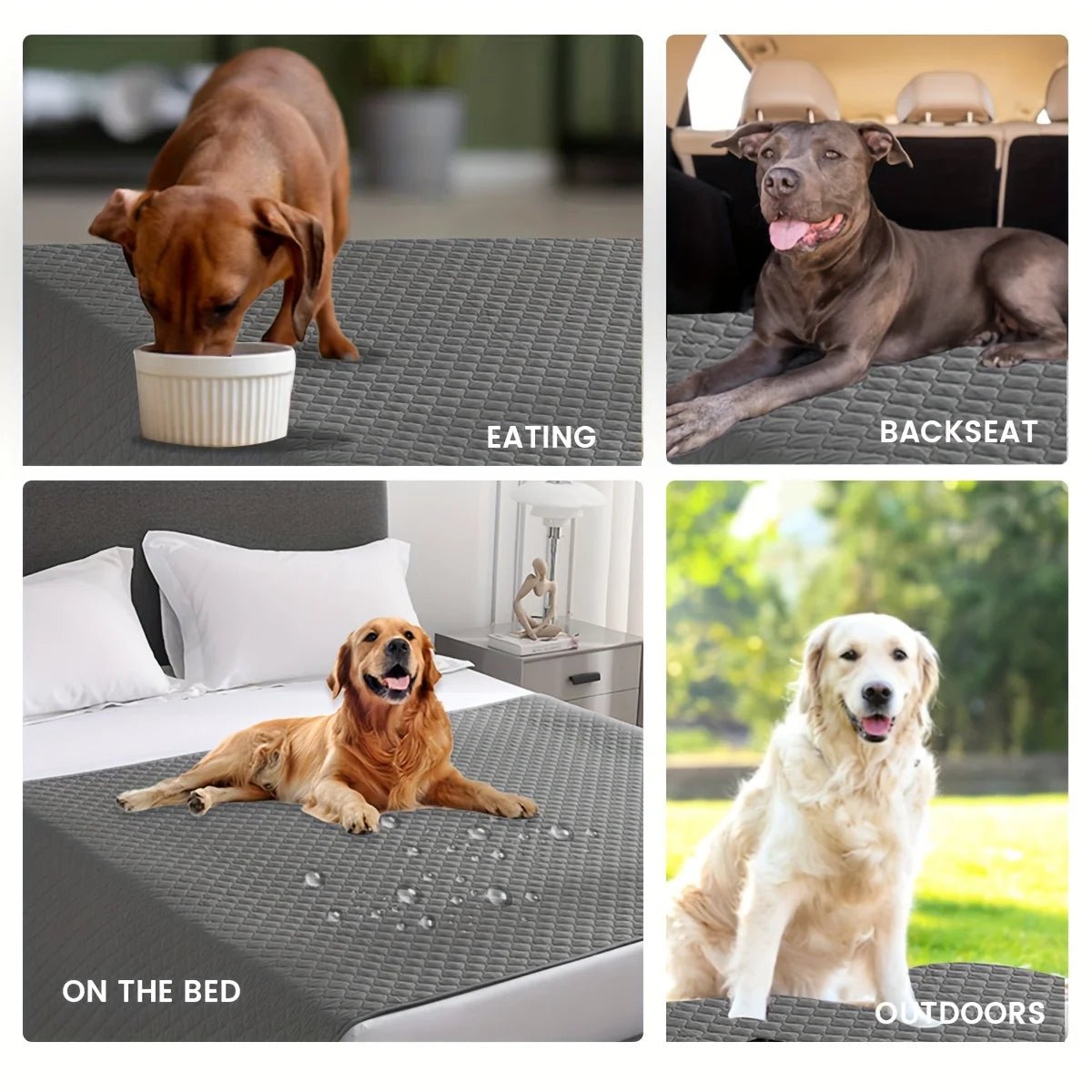 Matrasbeschermer & Huisdierdeken – Zacht, Antislip en Wasbaar - Duke & Scoop