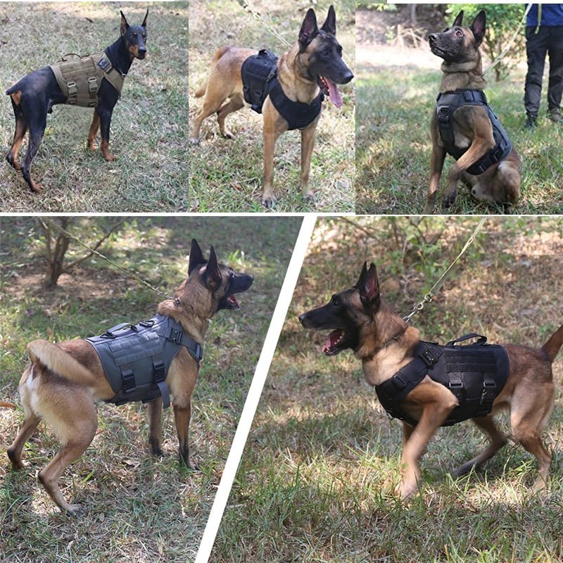 Militair Harnas met Handvat - Duke & Scoop