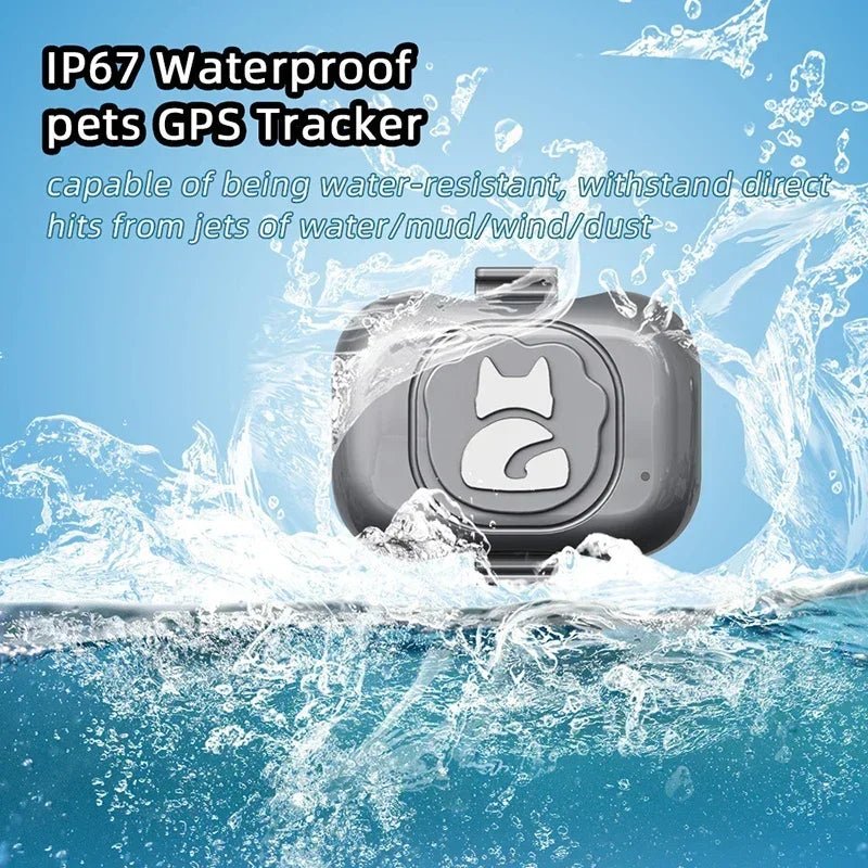 Mini GPS Tracker voor Honden en Katten – Waterdicht - Duke & Scoop