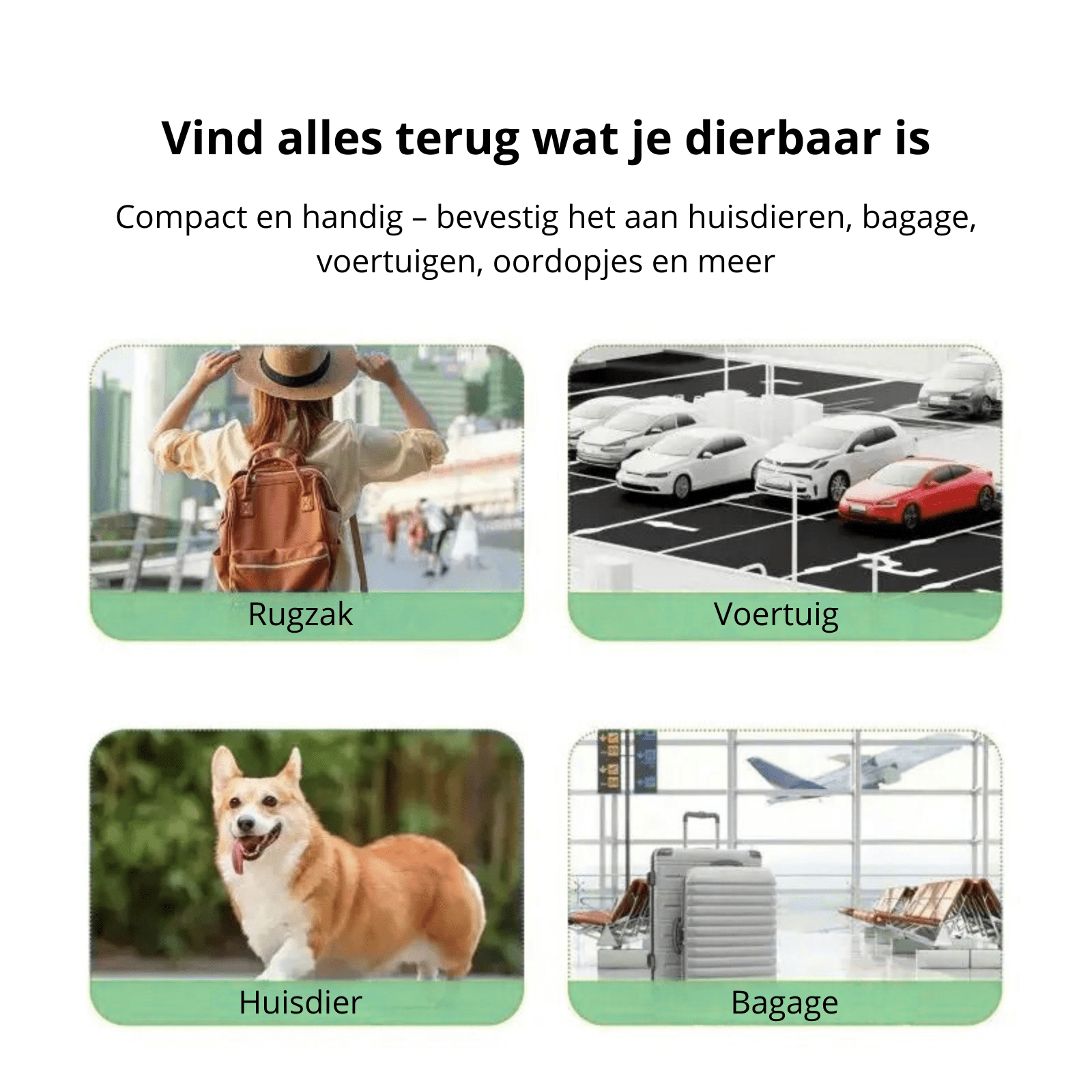 Mini GPS Tracker voor huisdieren - Duke & Scoop