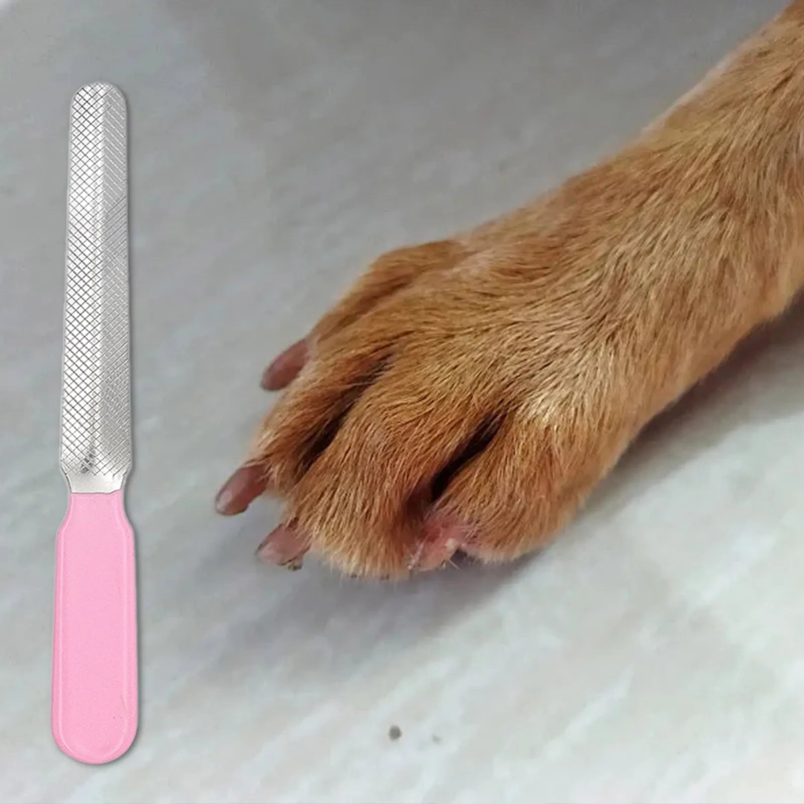 Nagelvijl voor Honden & Katten - Duke & Scoop