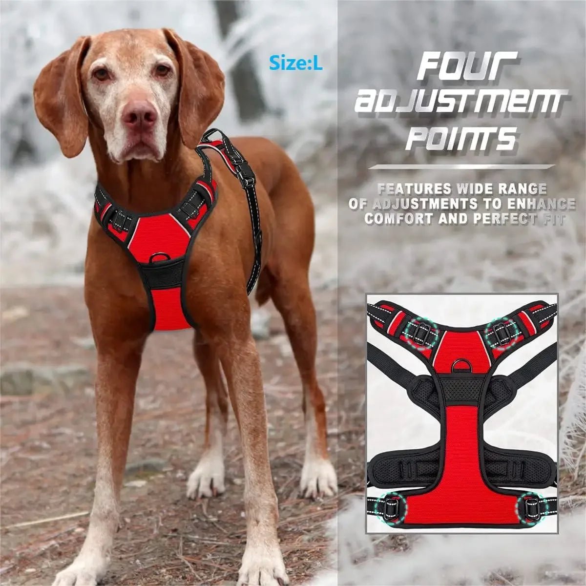 No Pull Hondentuig met Front Clip - Duke & Scoop