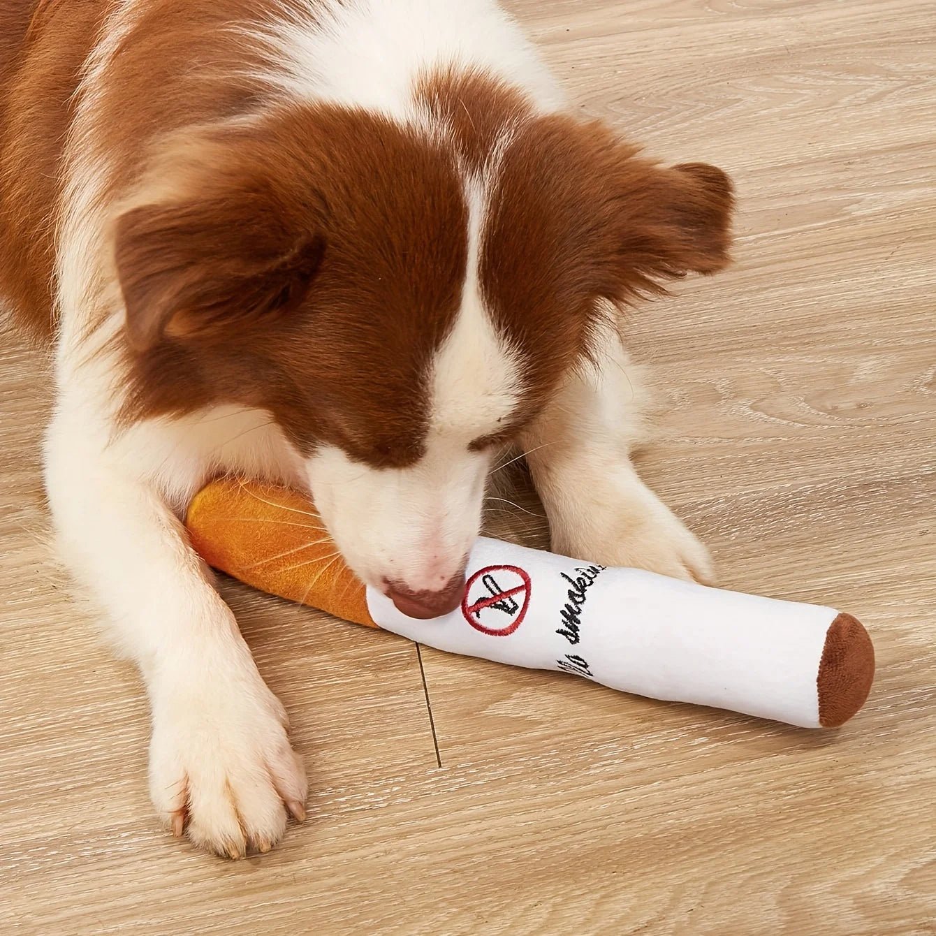 'No Smoking' Huisdier Speelgoed - Duke & Scoop