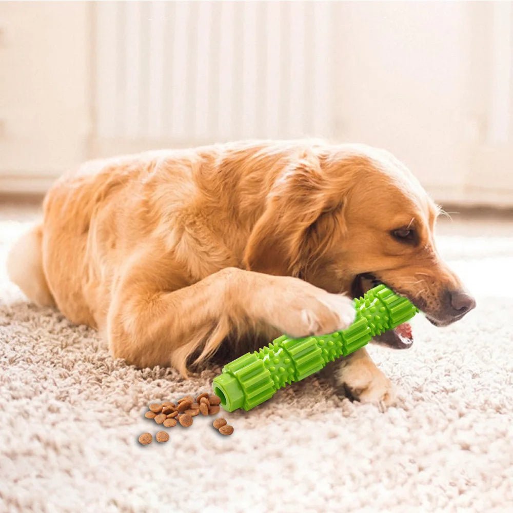 Onverwoestbaar Honden Speelgoed - Duke & Scoop