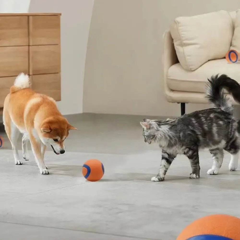 Onverwoestbare Hondenbal Oranje - Duke & Scoop