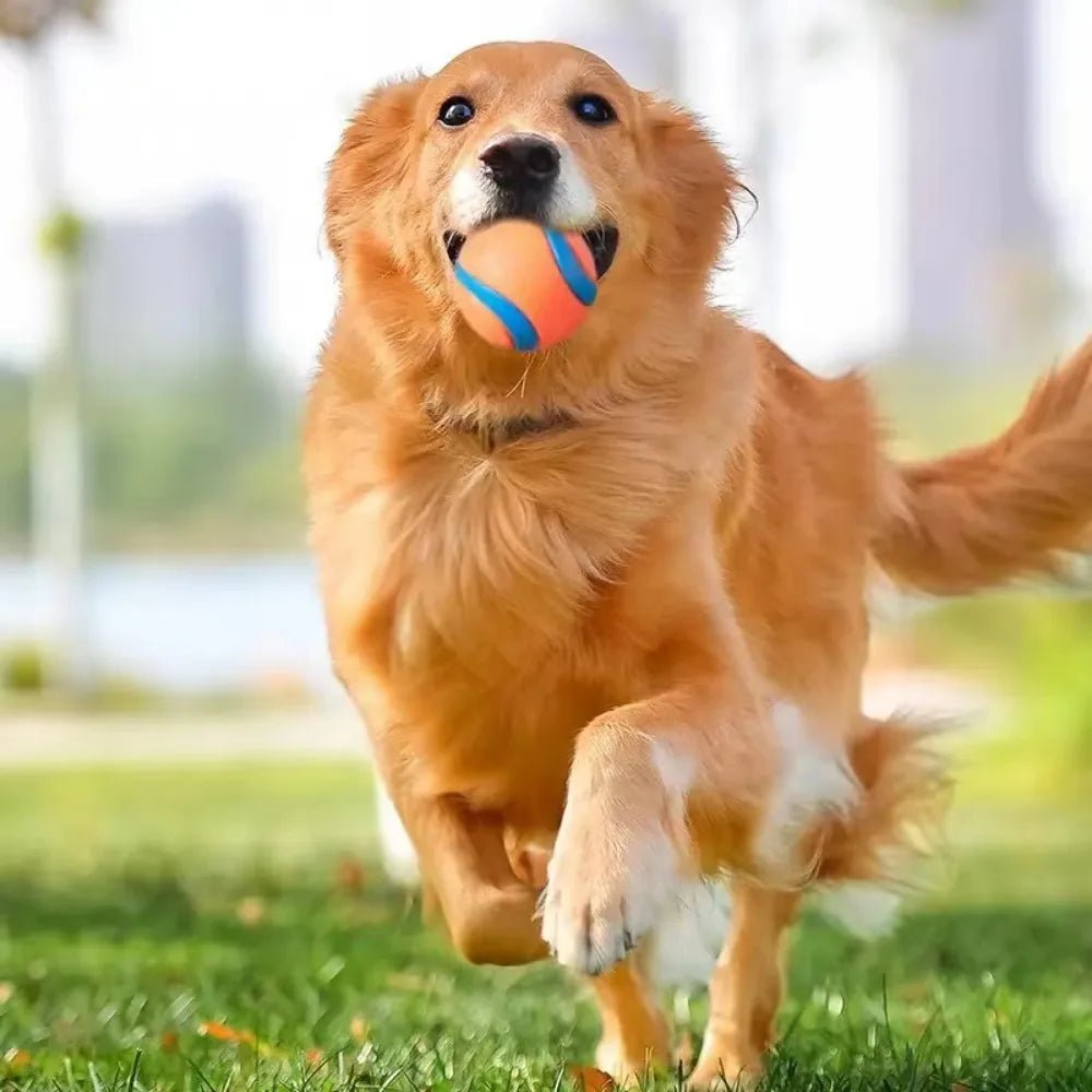 Onverwoestbare Hondenbal Oranje - Duke & Scoop