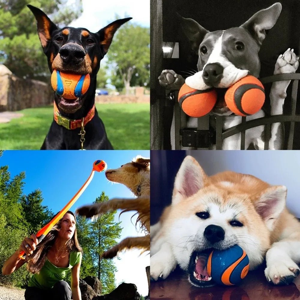 Onverwoestbare Hondenbal Oranje - Duke & Scoop