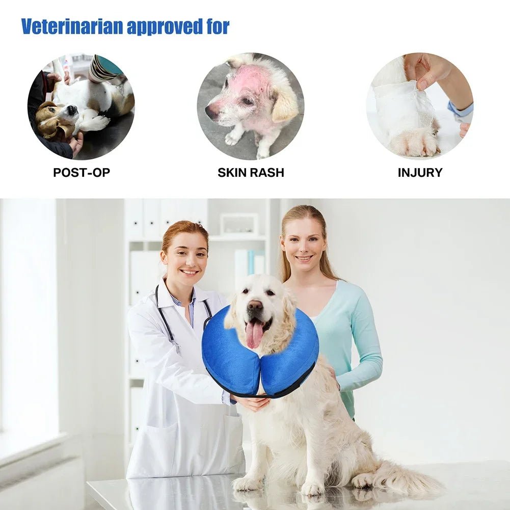 Opblaasbare Beschermkraag voor Honden & Katten - Duke & Scoop