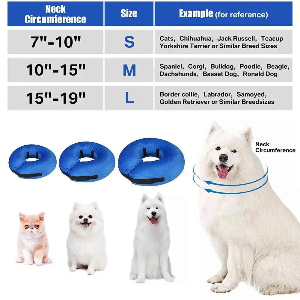 Opblaasbare Beschermkraag voor Honden & Katten - Duke & Scoop