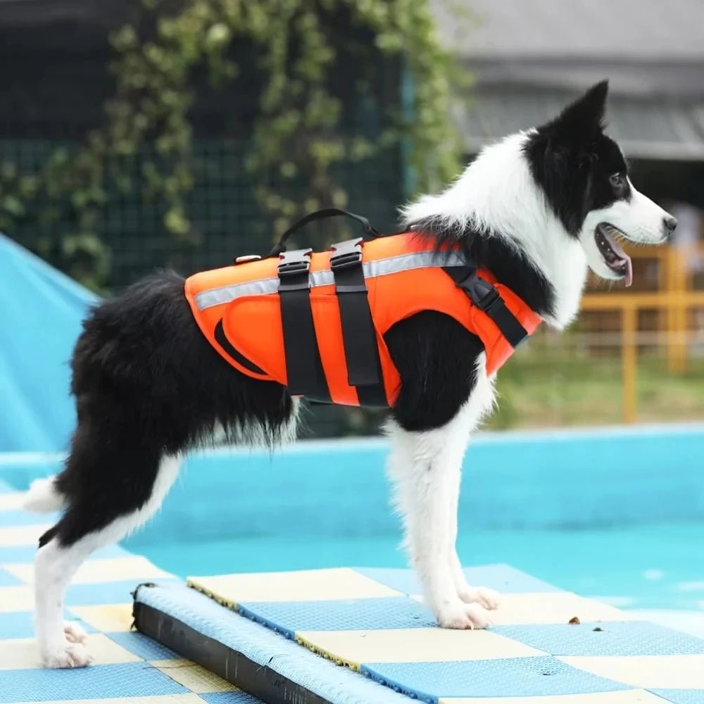 Oranje Zwemvest voor Honden - Duke & Scoop