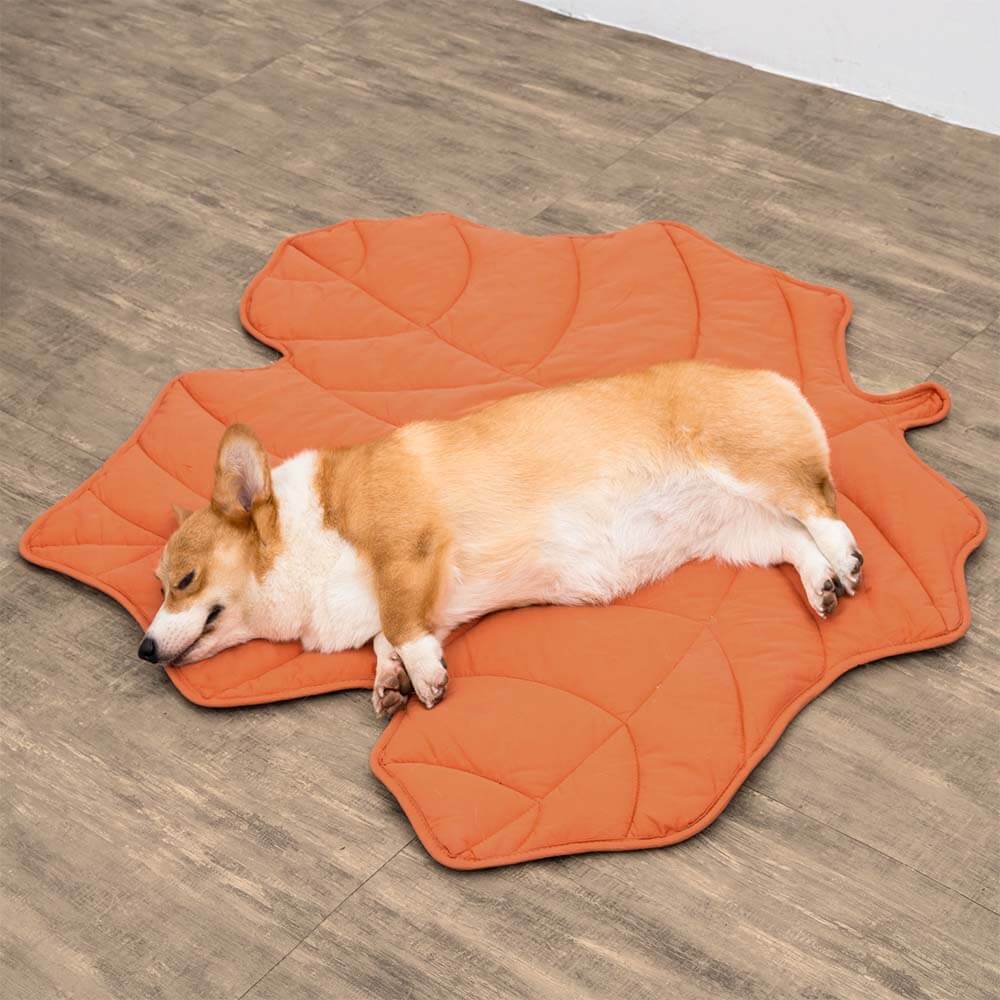 PawLeaf Hondendeken - Comfort en Warmte - Duke & Scoop