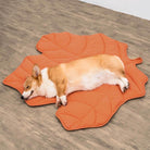 PawLeaf Hondendeken - Comfort en Warmte - Duke & Scoop