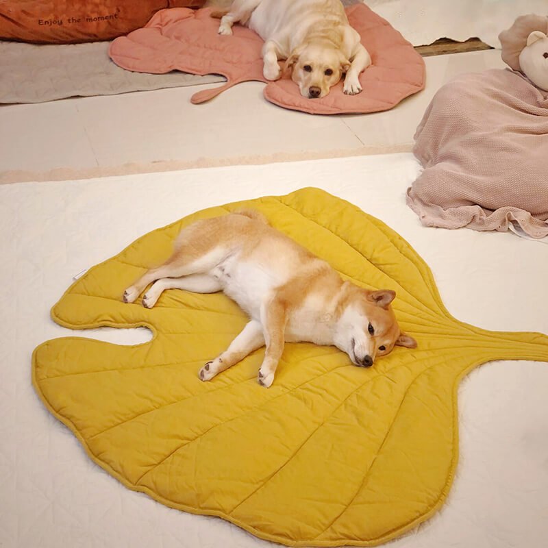 PawLeaf Hondendeken - Comfort en Warmte - Duke & Scoop