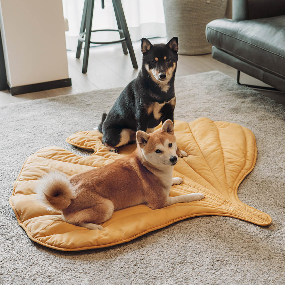 PawLeaf Hondendeken - Comfort en Warmte - Duke & Scoop