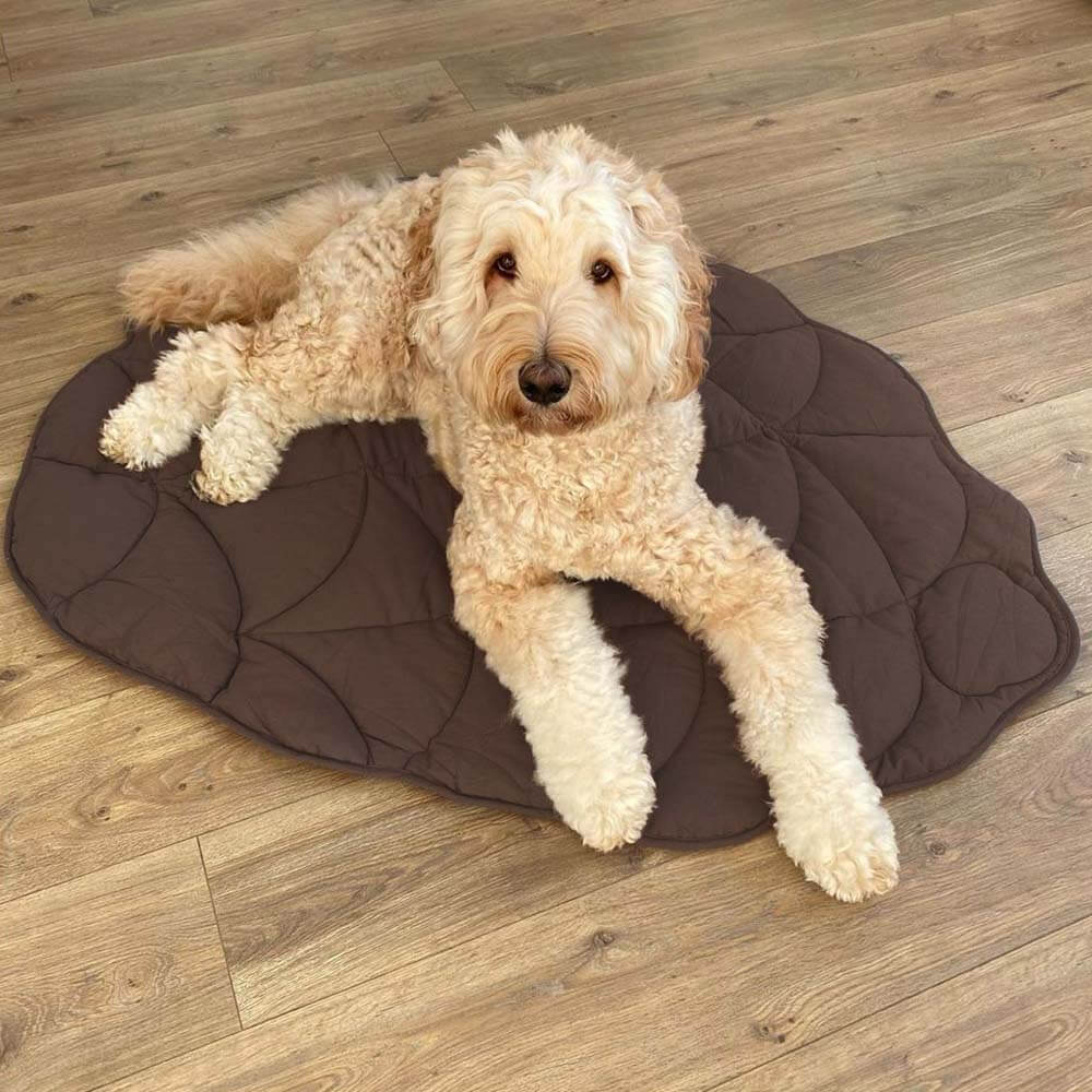 PawLeaf Hondendeken - Comfort en Warmte - Duke & Scoop