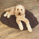 PawLeaf Hondendeken - Comfort en Warmte - Duke & Scoop