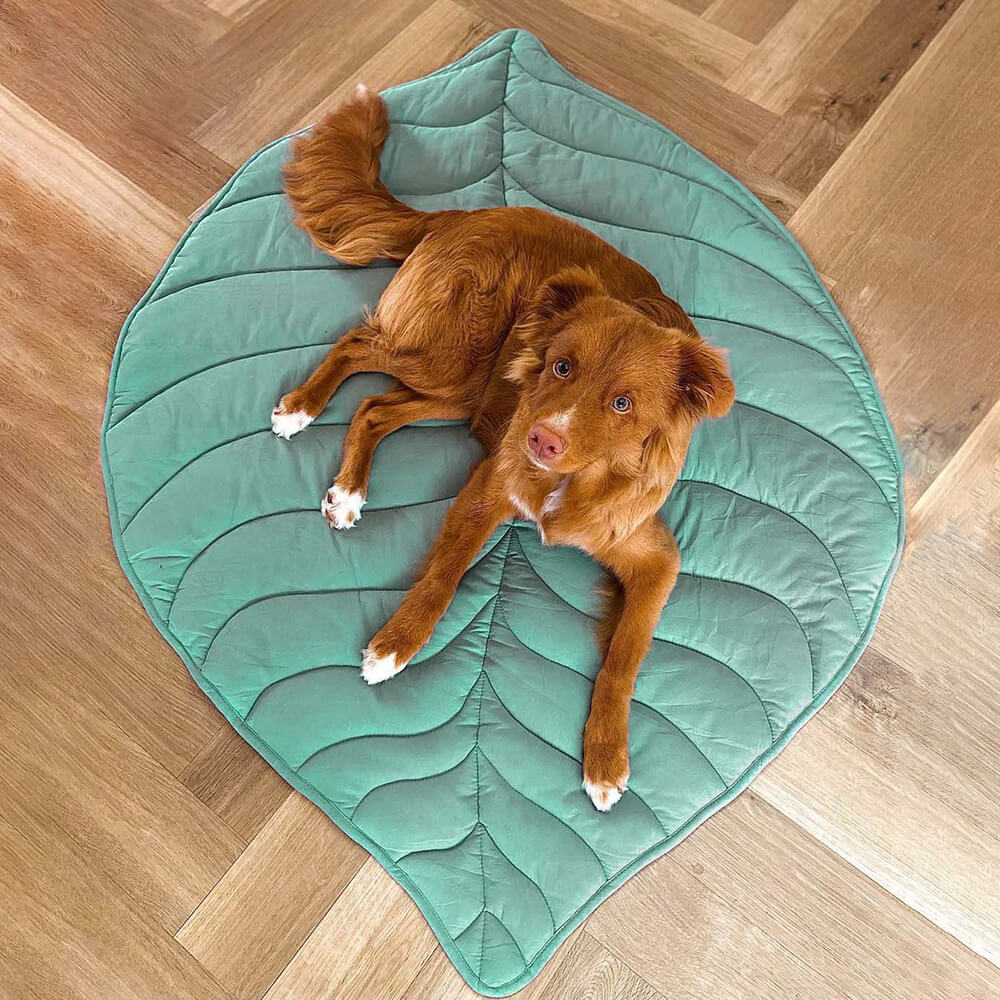 PawLeaf Hondendeken - Comfort en Warmte - Duke & Scoop