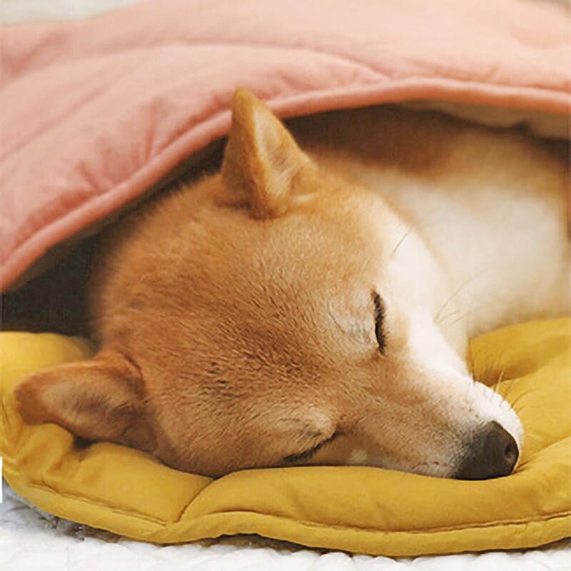 PawLeaf Hondendeken - Comfort en Warmte - Duke & Scoop