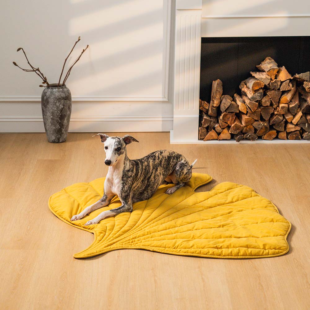 PawLeaf Hondendeken - Comfort en Warmte - Duke & Scoop