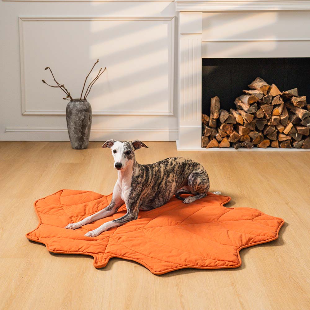 PawLeaf Hondendeken - Comfort en Warmte - Duke & Scoop