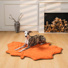 PawLeaf Hondendeken - Comfort en Warmte - Duke & Scoop