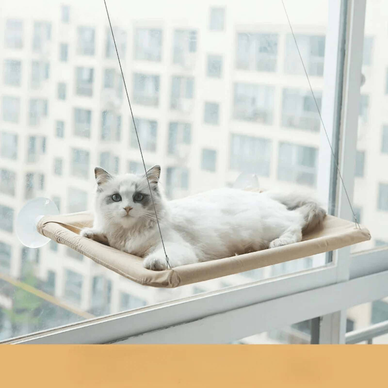 PawRest – Hangmat voor Katten - Duke & Scoop
