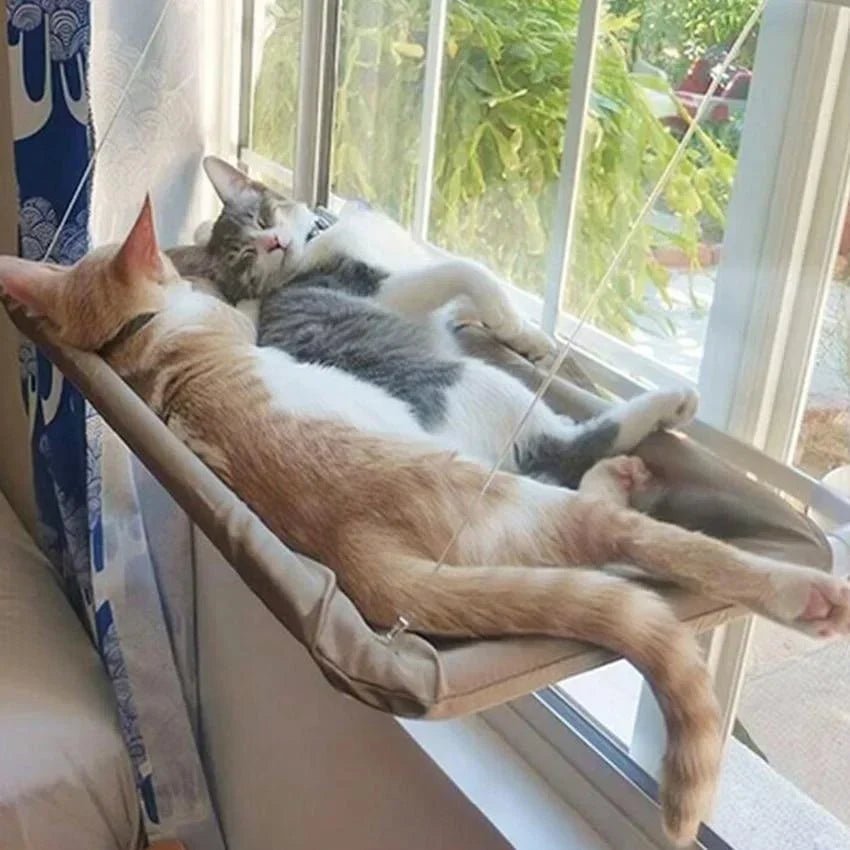 PawRest – Hangmat voor Katten - Duke & Scoop