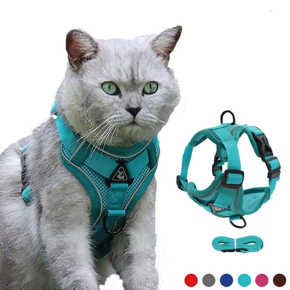 PawSecure – Harnas voor Hond en Kat - Duke & Scoop