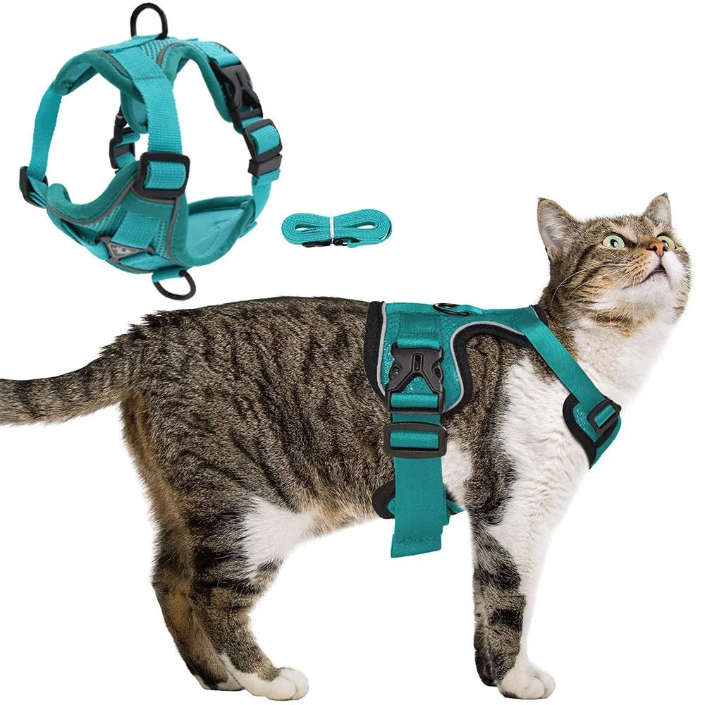 PawSecure – Harnas voor Hond en Kat - Duke & Scoop