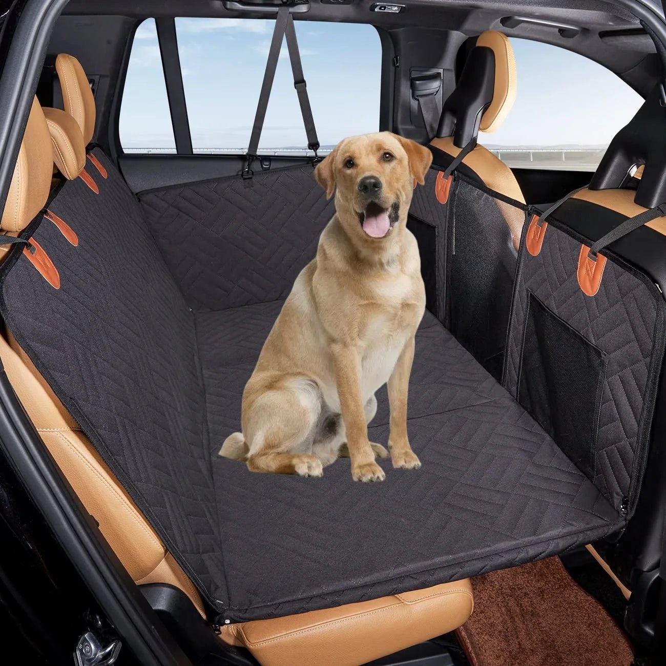Petcruiser - Achterbank Bescherming - Duke & Scoop