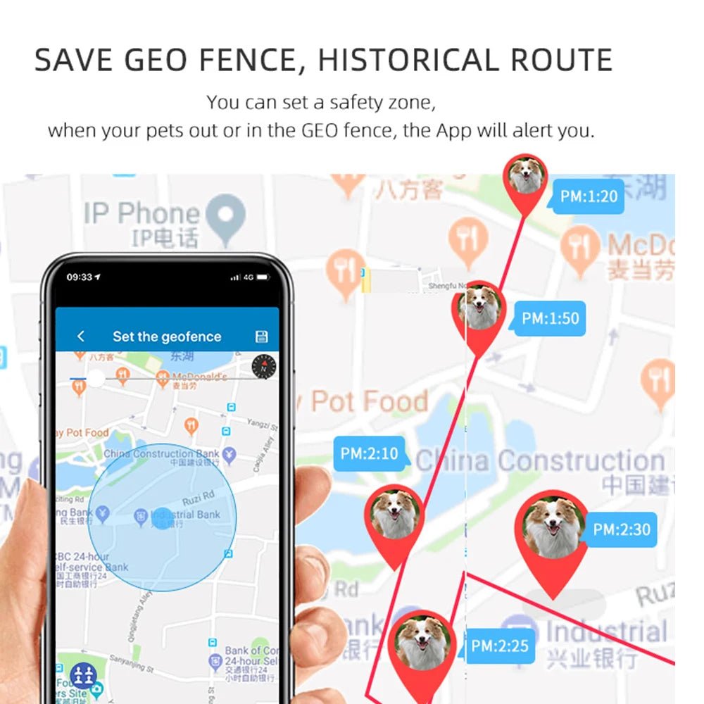 PetFind TK911 GPS Tracker - Duke & Scoop