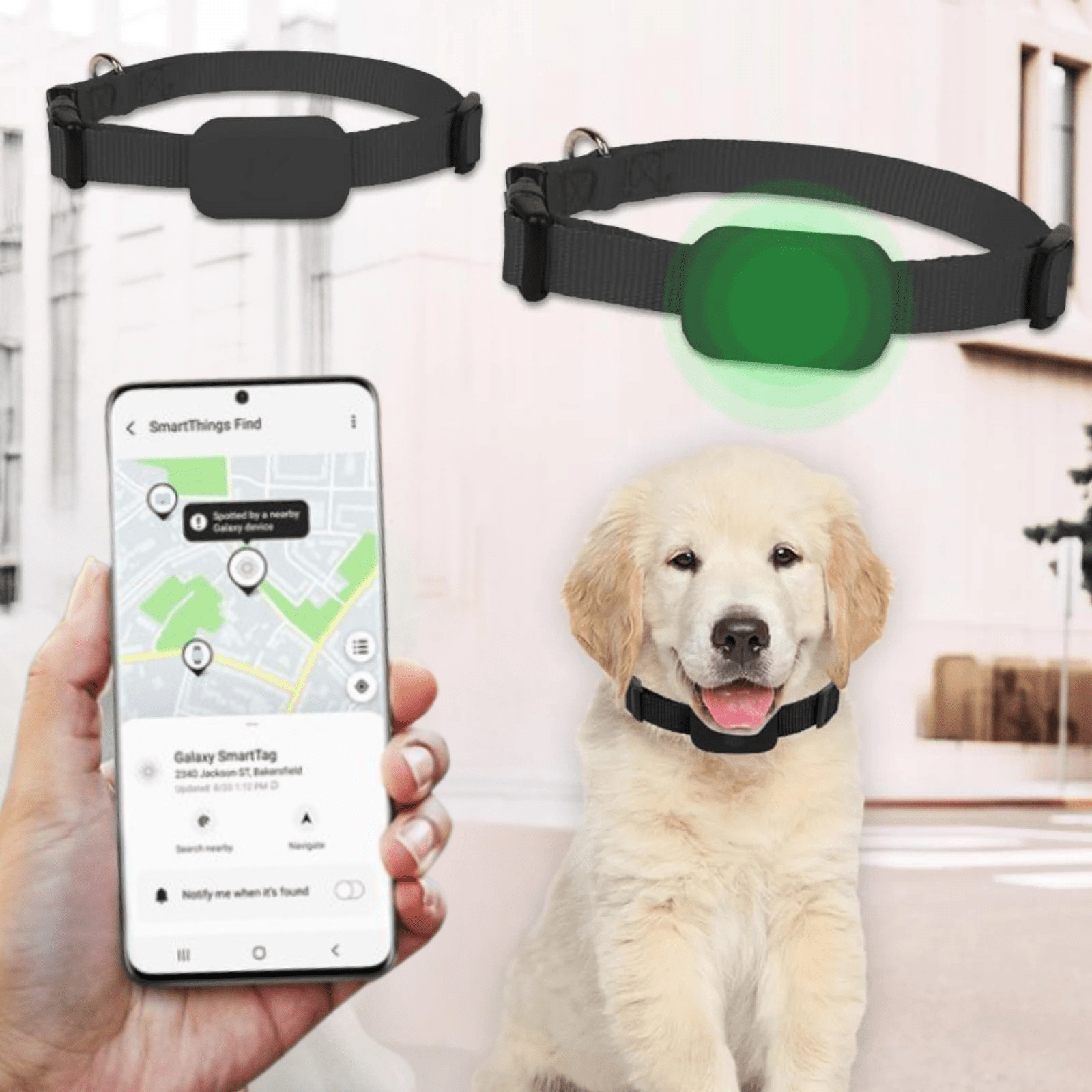 PetTrack - GPS Tracker voor Android - Duke & Scoop