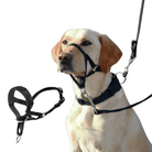 QuietFit –Muilkorf voor honden - Duke & Scoop