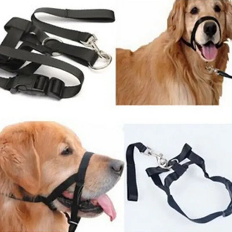 QuietFit –Muilkorf voor honden - Duke & Scoop