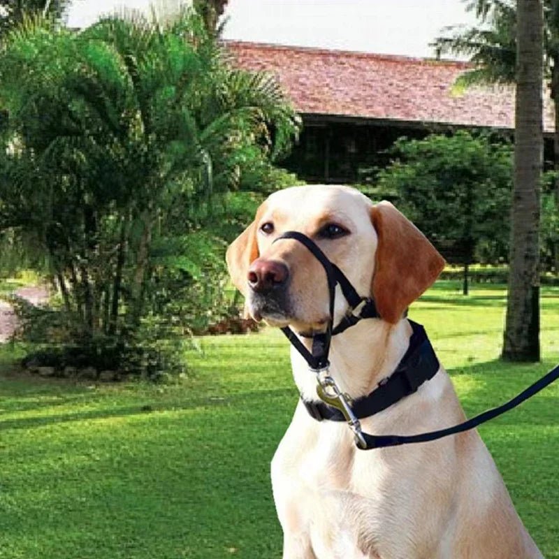 QuietFit –Muilkorf voor honden - Duke & Scoop