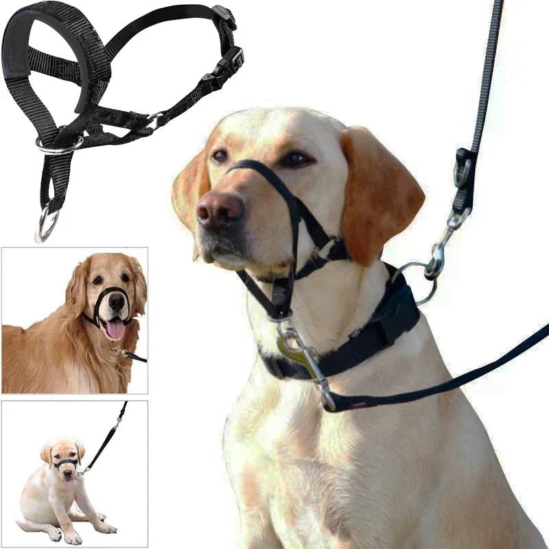 QuietFit –Muilkorf voor honden - Duke & Scoop